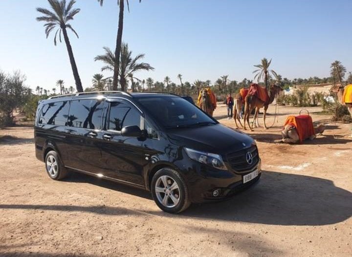 Mercedes noire parmi les palmiers et les dromadaires